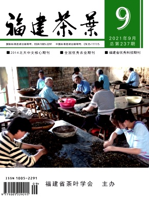 福建茶叶